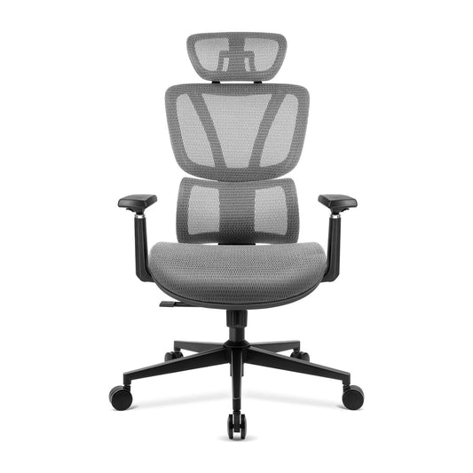 ăNEW ARRIVALăFerghana Ergonomic Mesh Office Chair High Back Executive Swivel Chair with 400Lbs Weight Capacity(Dark Grey)