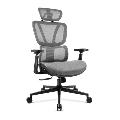 【NEW ARRIVAL】Ferghana Ergonomic Mesh Office Chair High Back Executive Swivel Chair with 400Lbs Weight Capacity(Dark Grey)